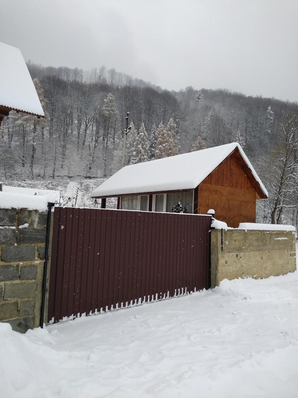 Карпатські Ночі Чан На Території Apartment Yaremche Exterior photo